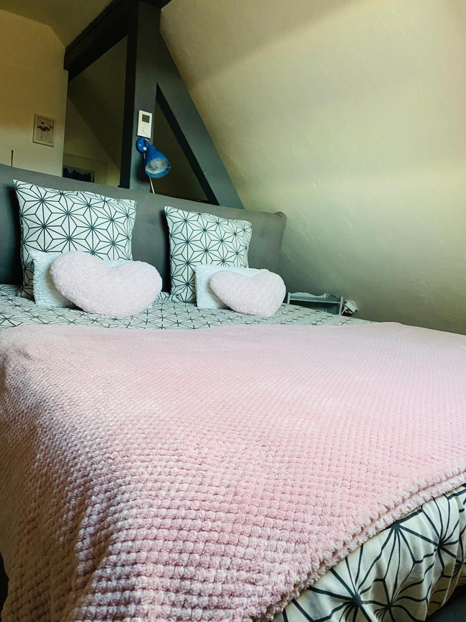 Les Appartements D'Estelle La Petite-Pierre Exterior foto